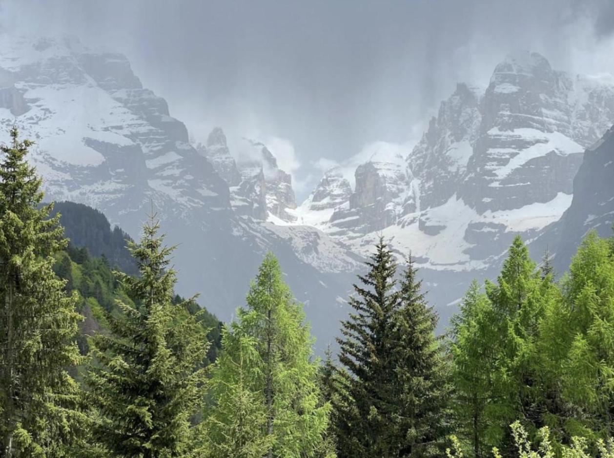 דירות מדונה די קמפיליו Menz Campiglio מראה חיצוני תמונה