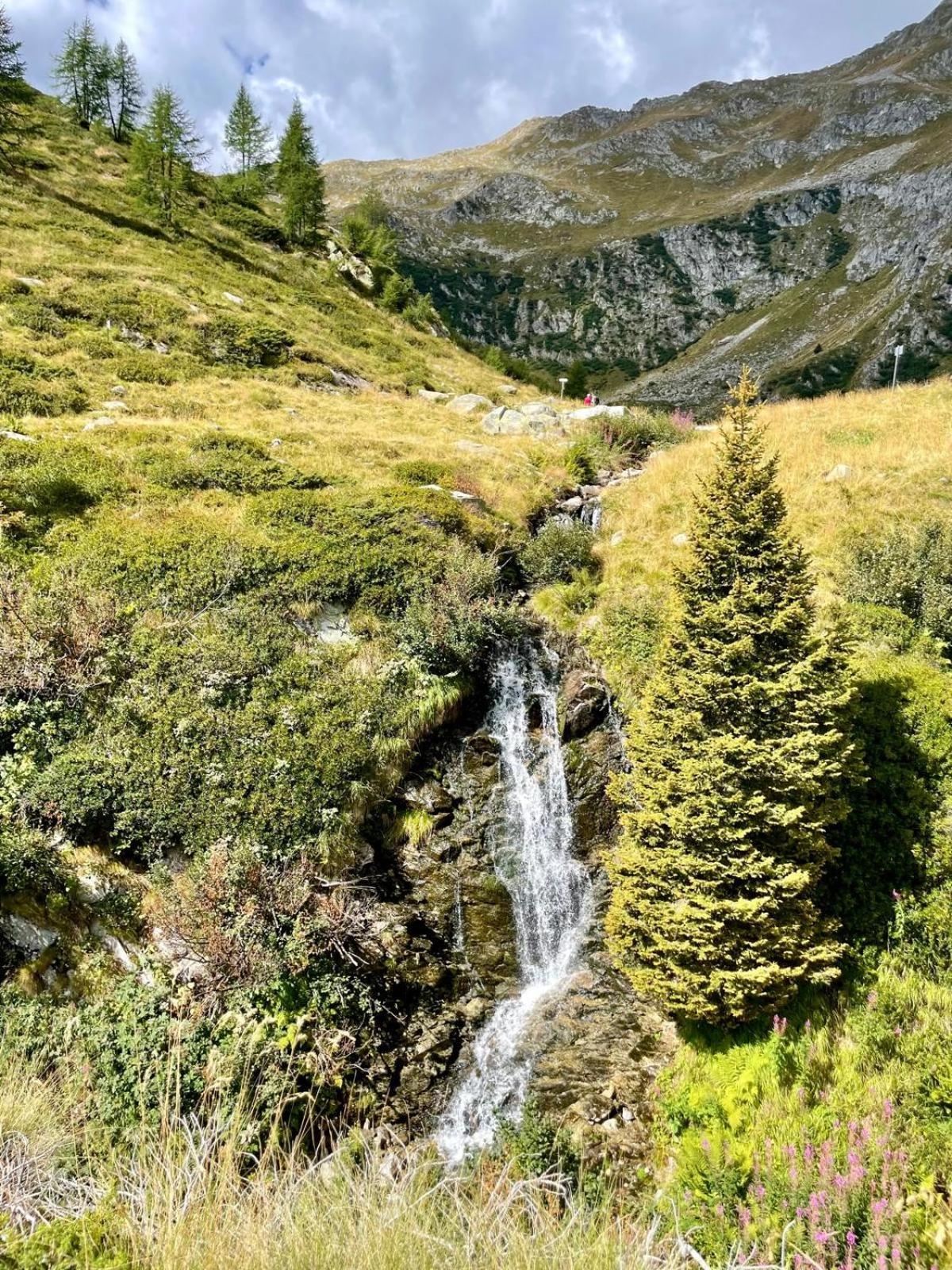 דירות מדונה די קמפיליו Menz Campiglio מראה חיצוני תמונה